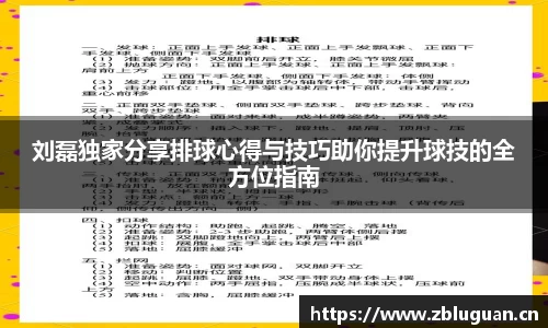 刘磊独家分享排球心得与技巧助你提升球技的全方位指南